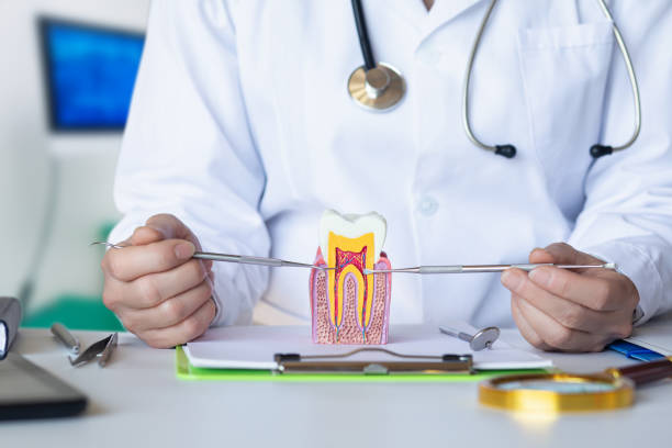 Best Emergency Treatment for Dental Infections or Abscesses in Poth, TX